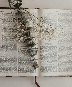 sixteen-miles-out-7tx82LPjaX8-unsplash